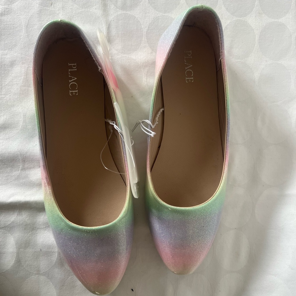 PLACE Women's Multicolor Ballet Flats